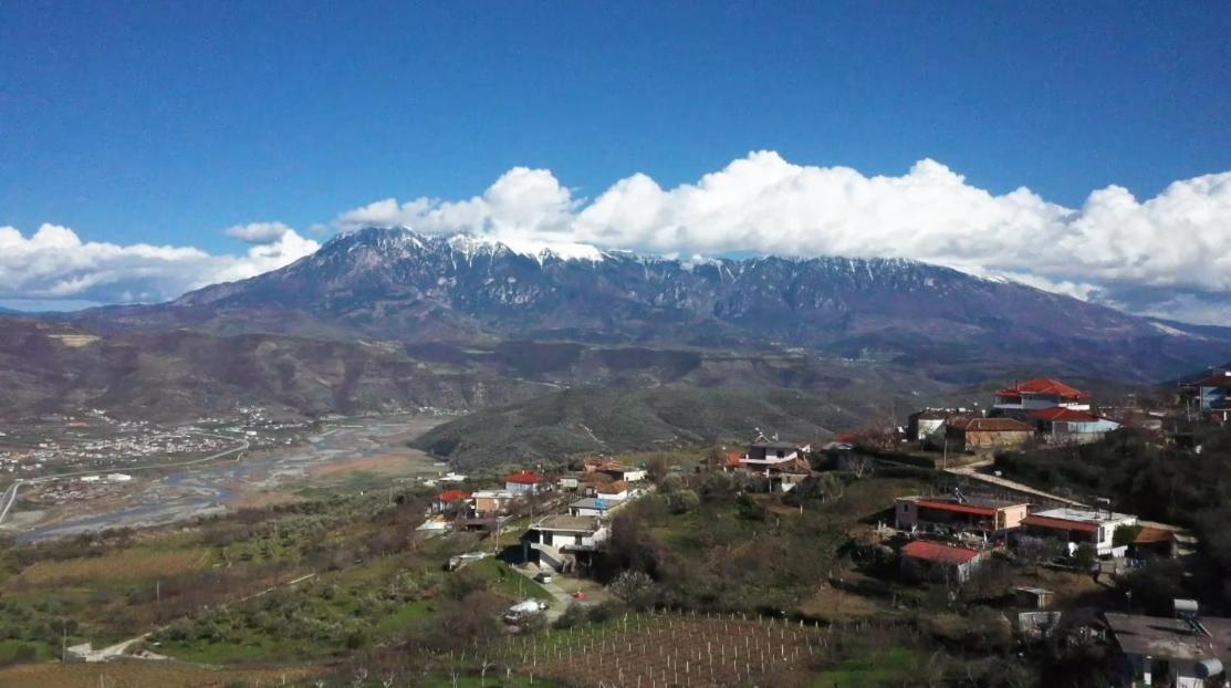 Villa Kuci, Drobonik Berat Exterior foto